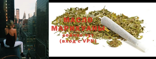крисы Ельня