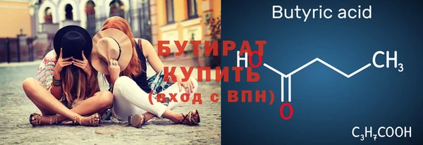 крисы Ельня