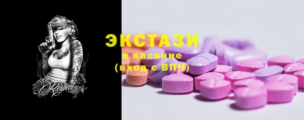 крисы Ельня