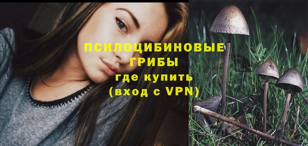 крисы Ельня