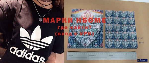 крисы Ельня
