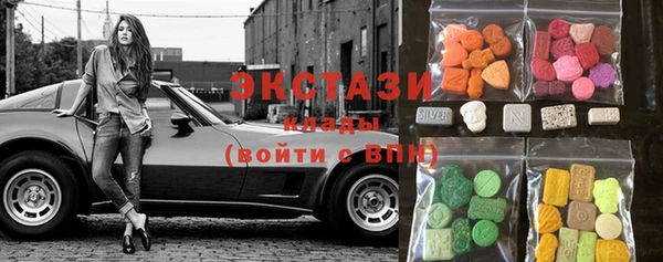 крисы Ельня