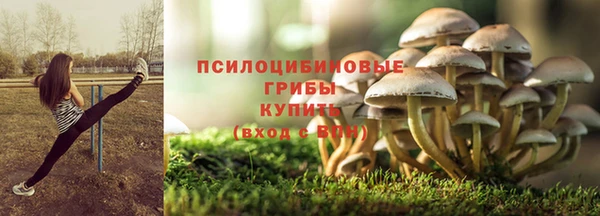 ALPHA PVP Елизово