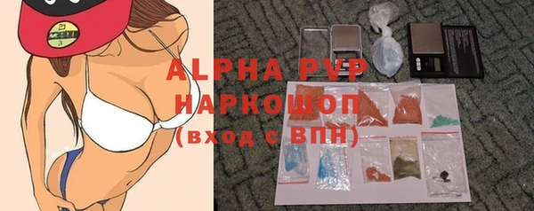 крисы Ельня