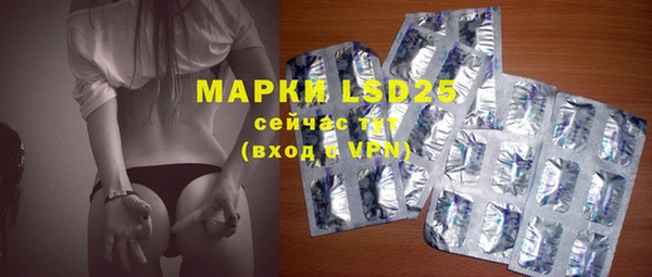 крисы Ельня