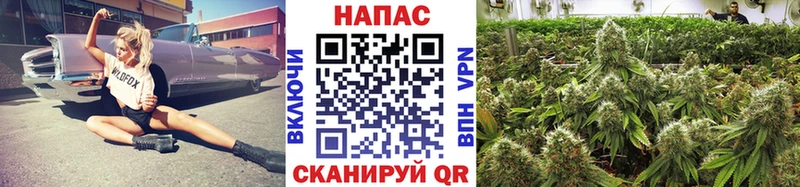 закладка  Судак  Каннабис THC 21% 